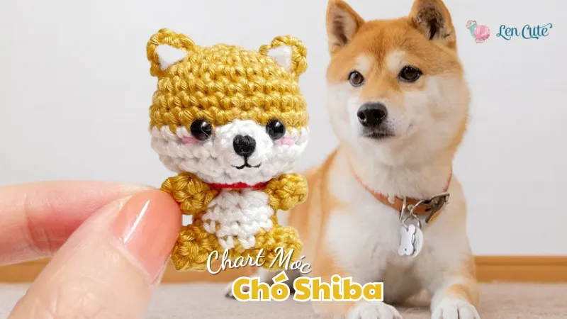 Chart Móc Chó Shiba