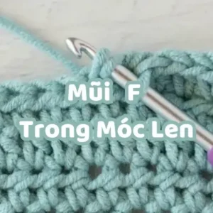 Mũi F Trong Móc Len